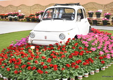 Italiaanser dan deze wordt het niet.